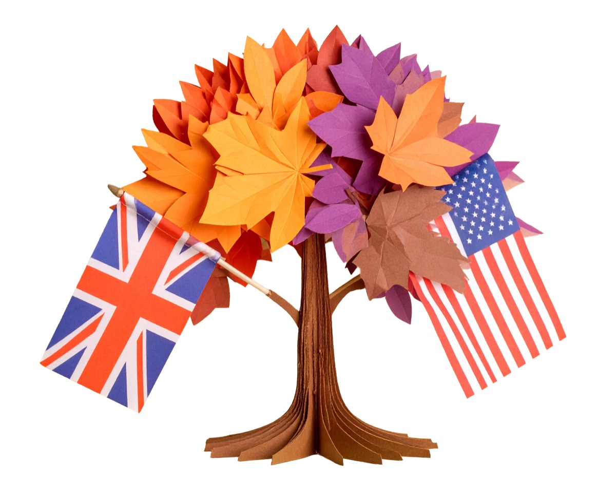 English Starter Kurs in der Besser Sprechen App